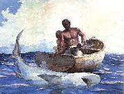 Winslow Homer Shark Fishing oil painting picture wholesale